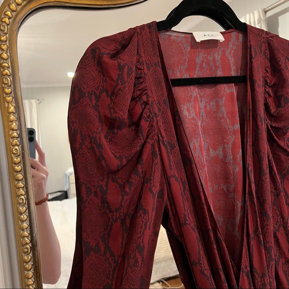 ALC red snakeskin silk wrap dress, never been worn - Picture 5 of 7